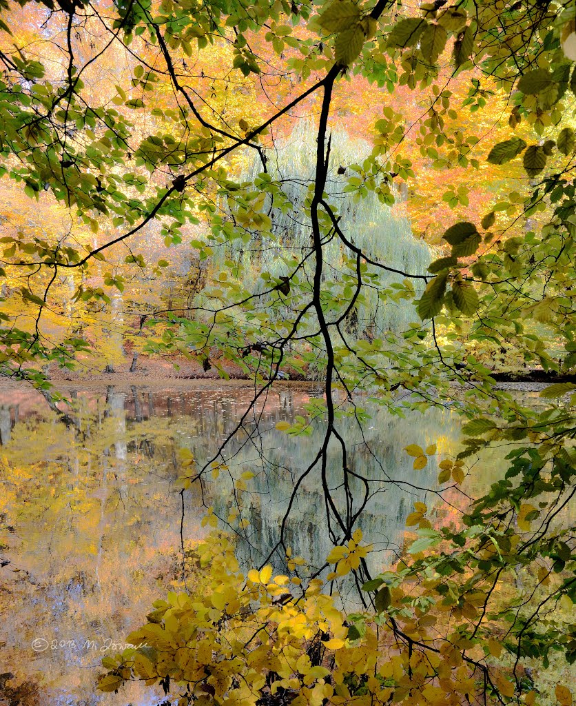 Painted Water