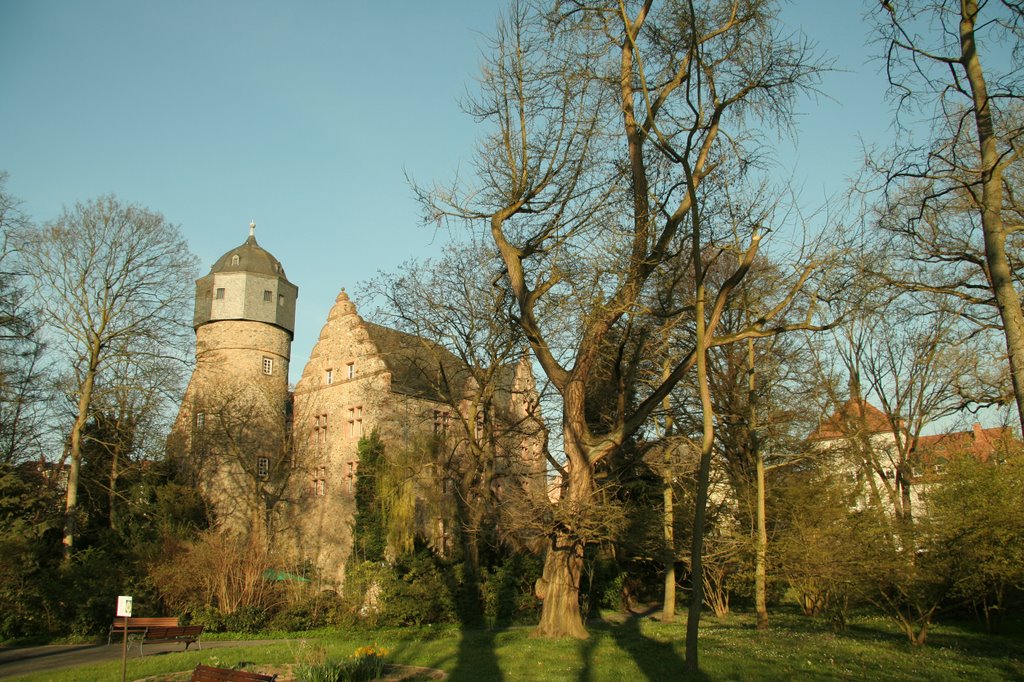 Altes Schloss / Blick v. Bot. Garten !