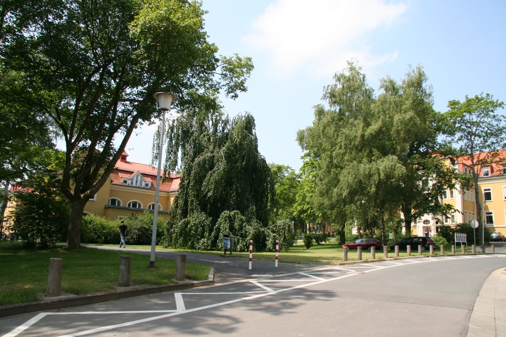 BWL UNI