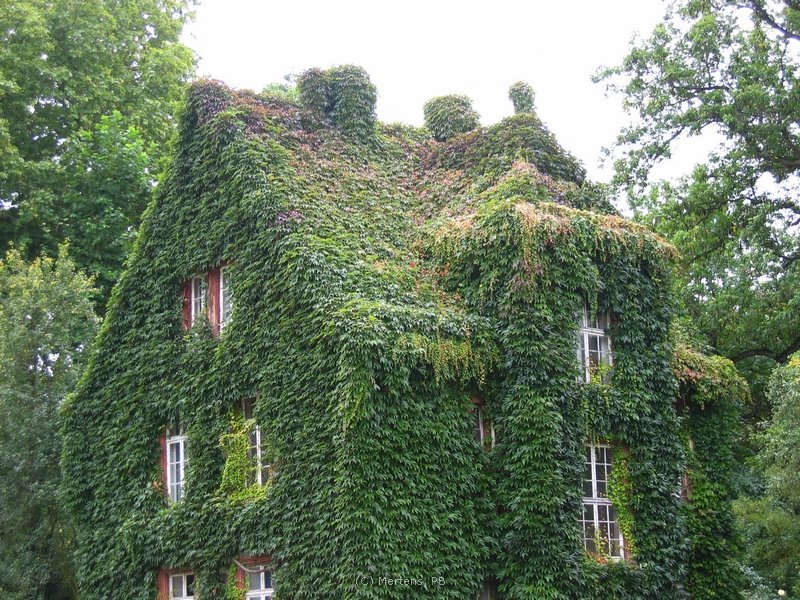 Gießen - Das grüne Haus