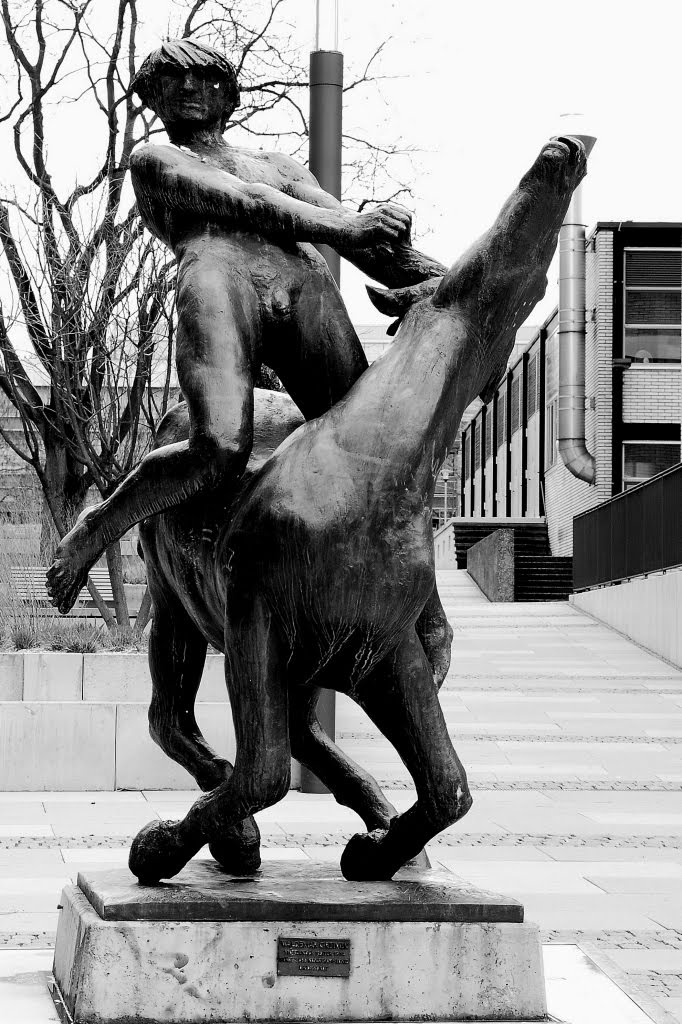 The horsemen - in S & W