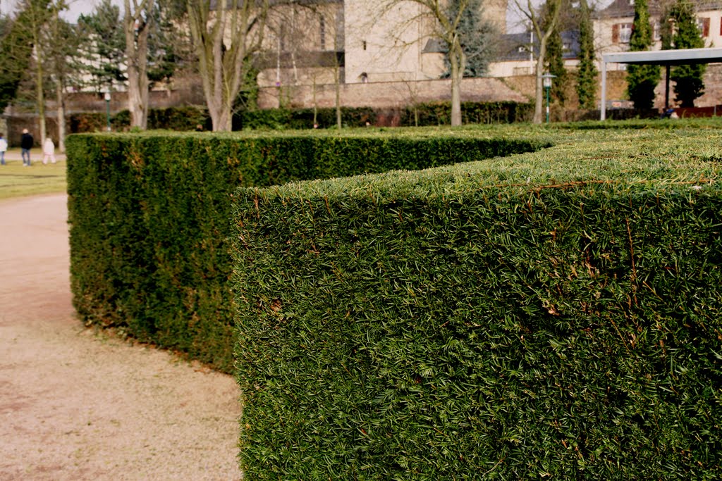 Darmstadt -nice straight lines-