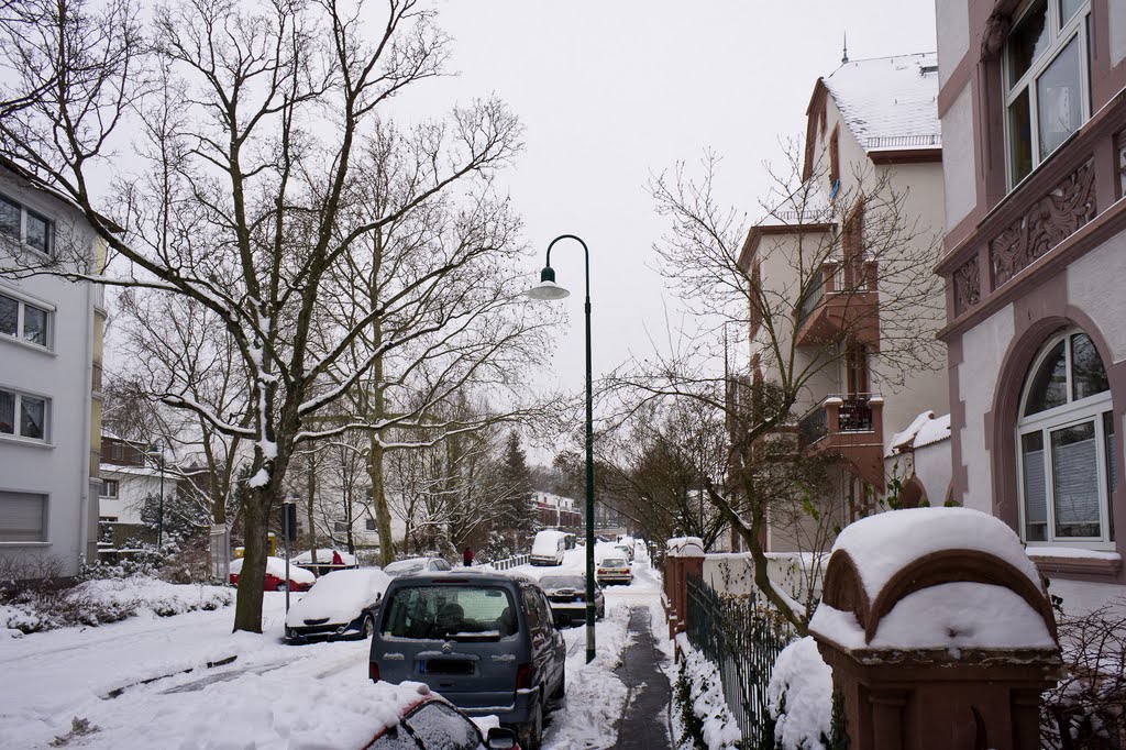 Winter