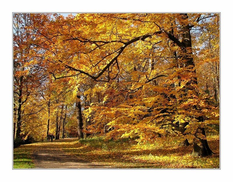 Park Schönfeld