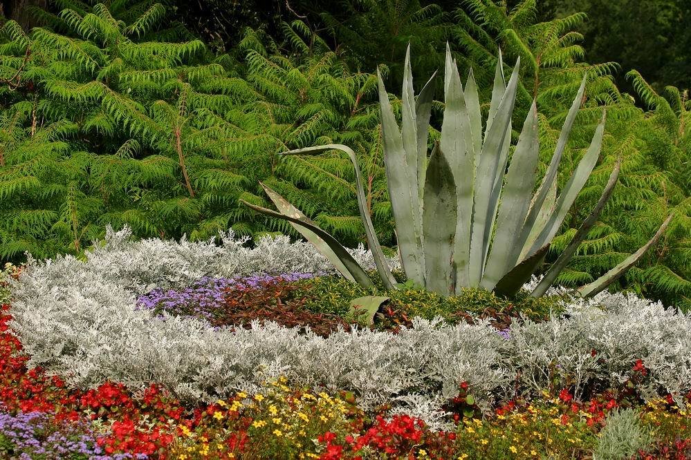 Blumenbeet auf Siebenbergen