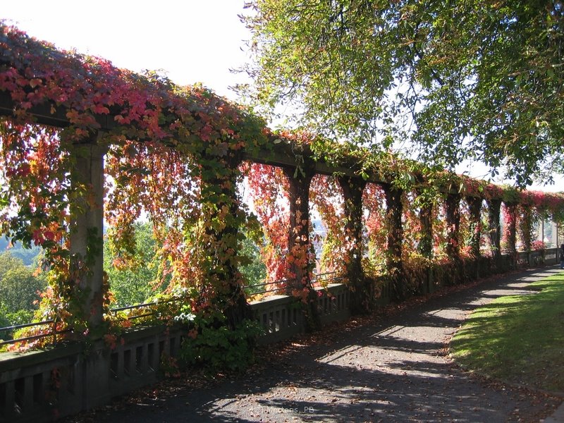 Kassel - Am Weinberg