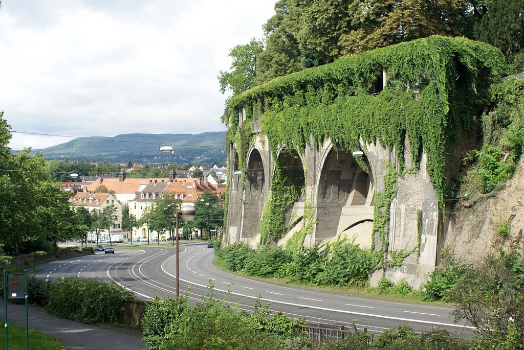 Kassel, Weinberg