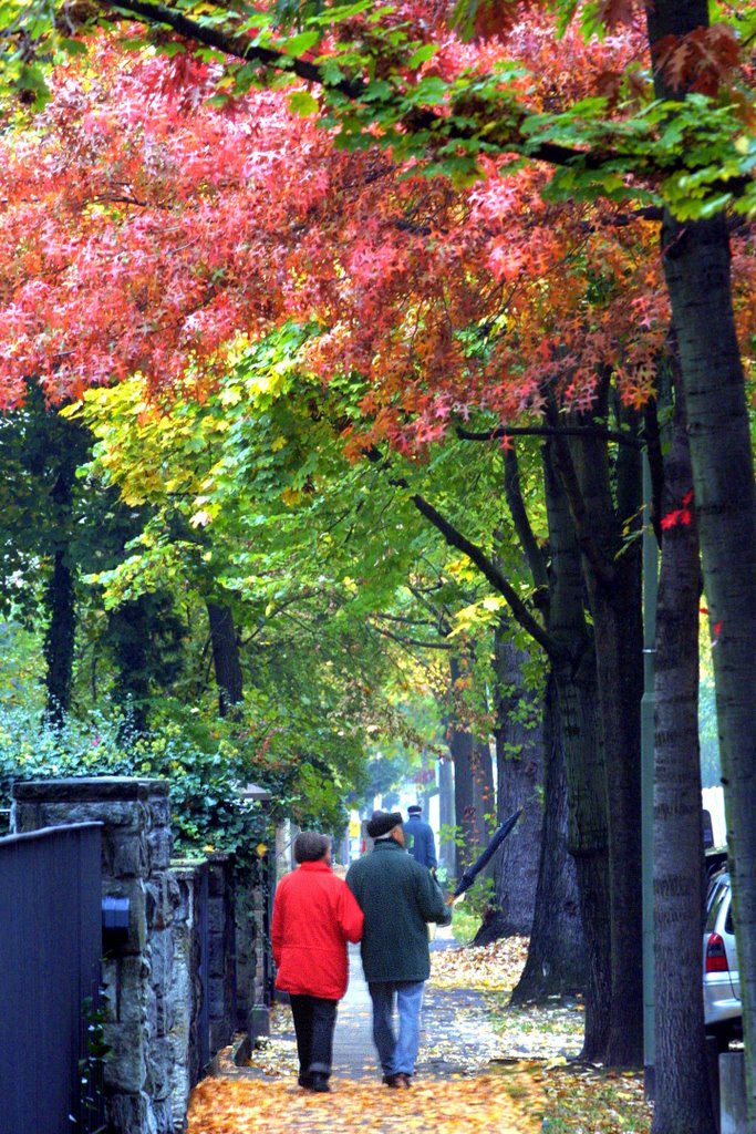 Tulpenhofstraße/Offenbach