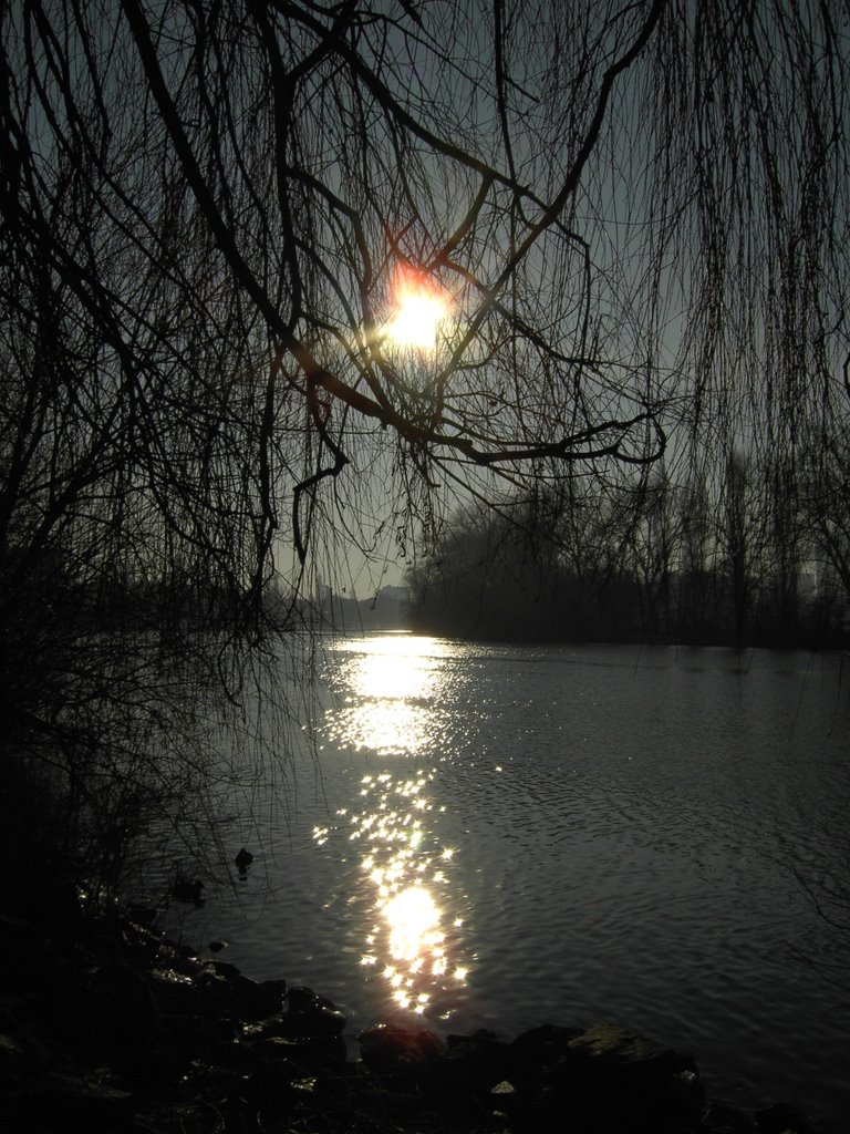 Abendstimmung am Main bei Bürgel