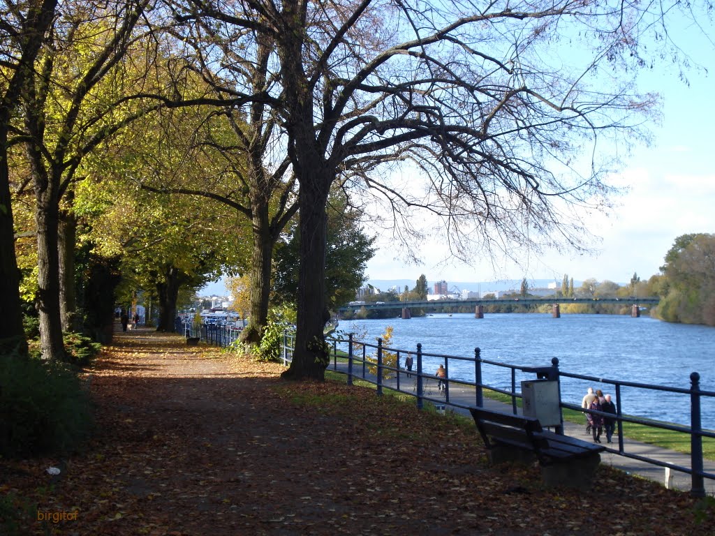 A look to the River Main - Germany