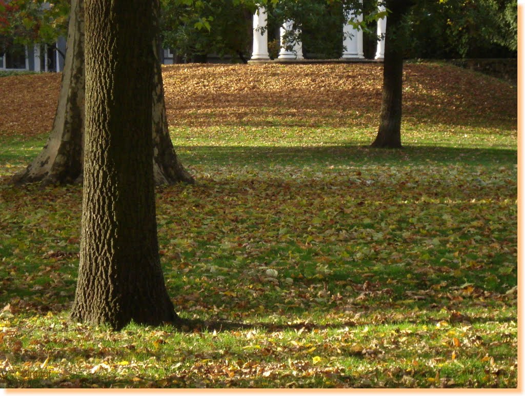 Autumn colours