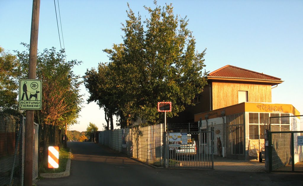Tierheim des Tierschutzvereins Offenbach am Main