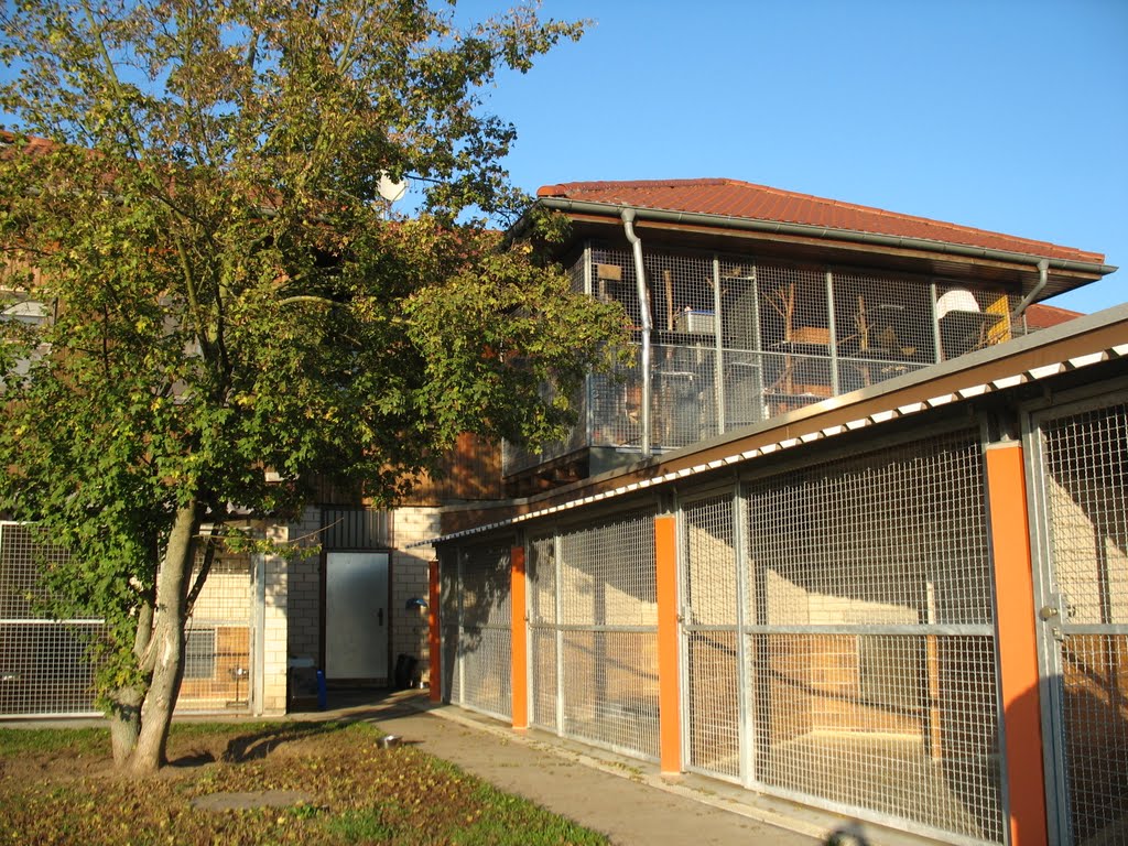 Tierheim des Tierschutzvereins Offenbach am Main