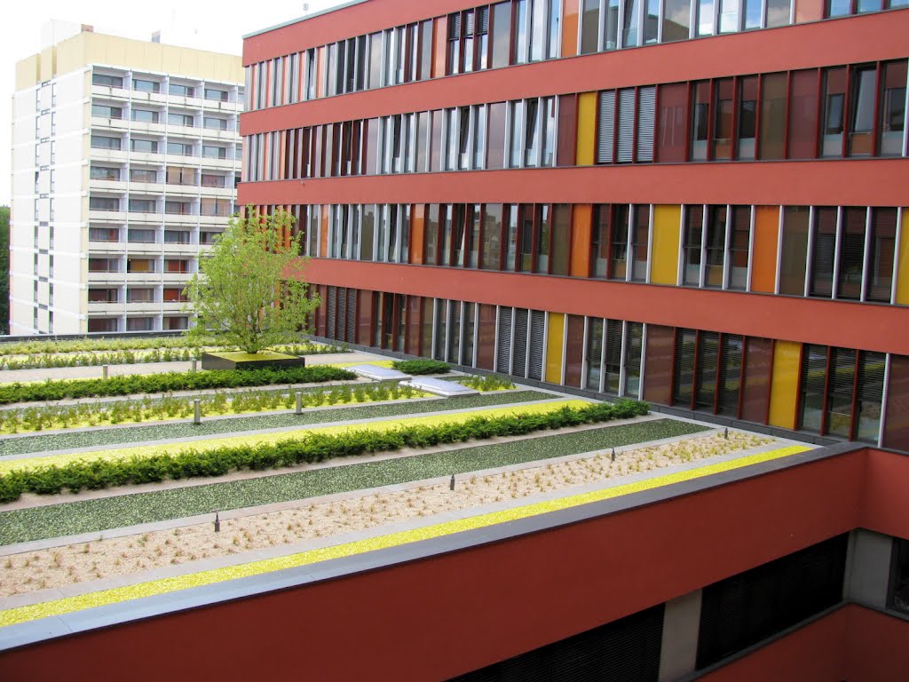 Offenbach: Klinikum Dachbegrünung