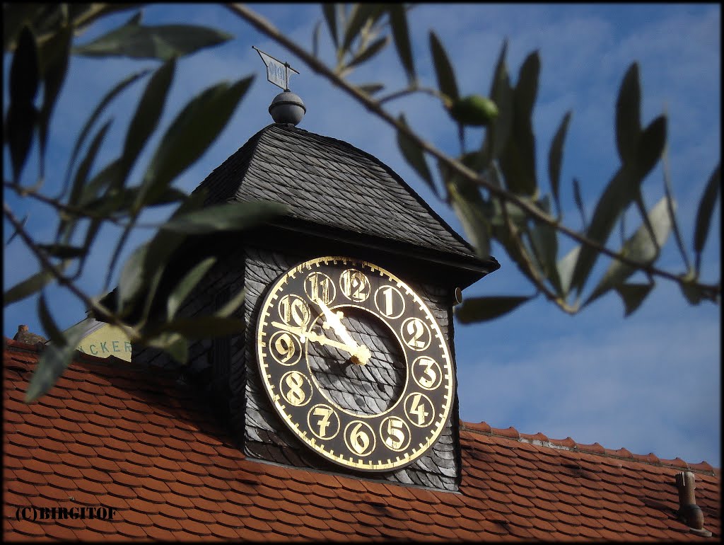 CLOCK AND NATURE