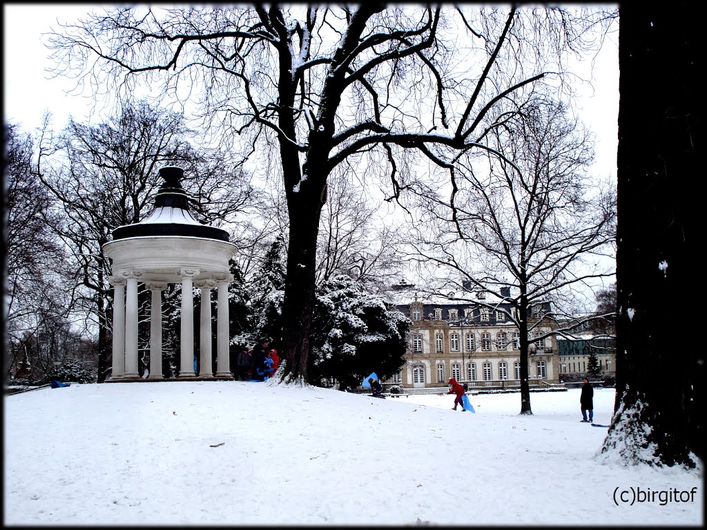 SLEDDING IN THE PARK