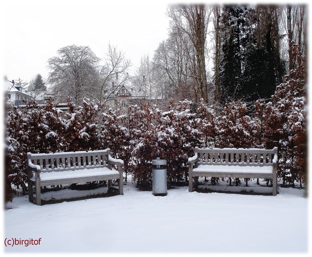 WINTERTIME