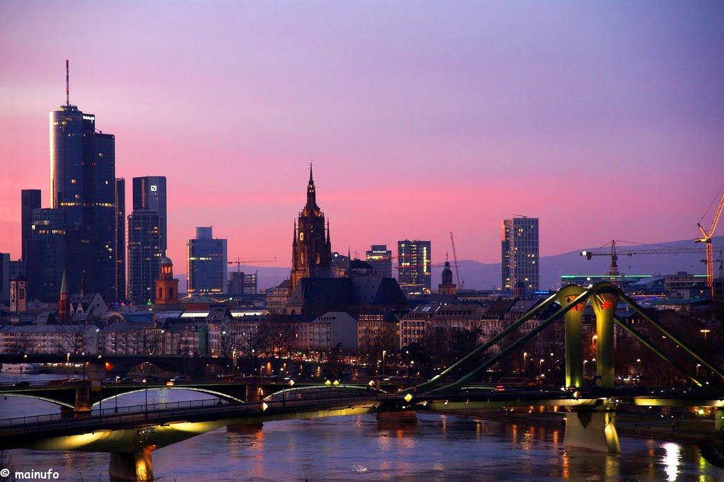 Violet Skyline 2008