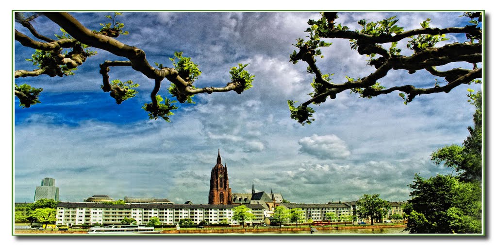 Der Dom und die Natur