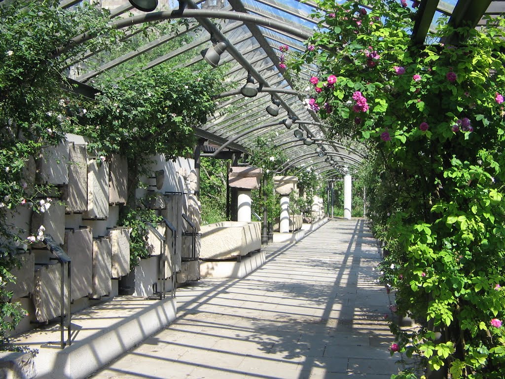 Deutschland, Fulda- Dom in Fulda, Garten