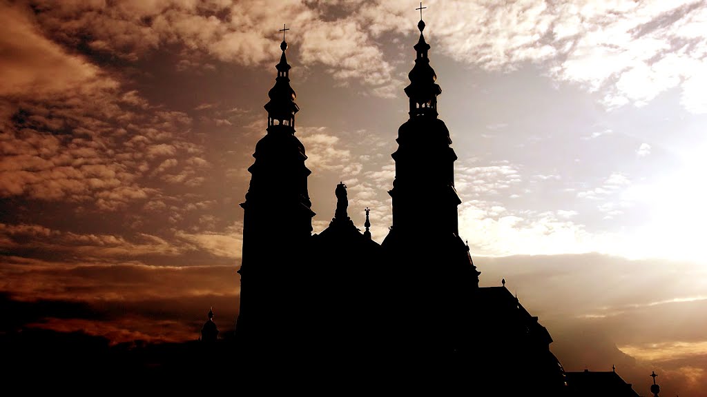 Dom shadow