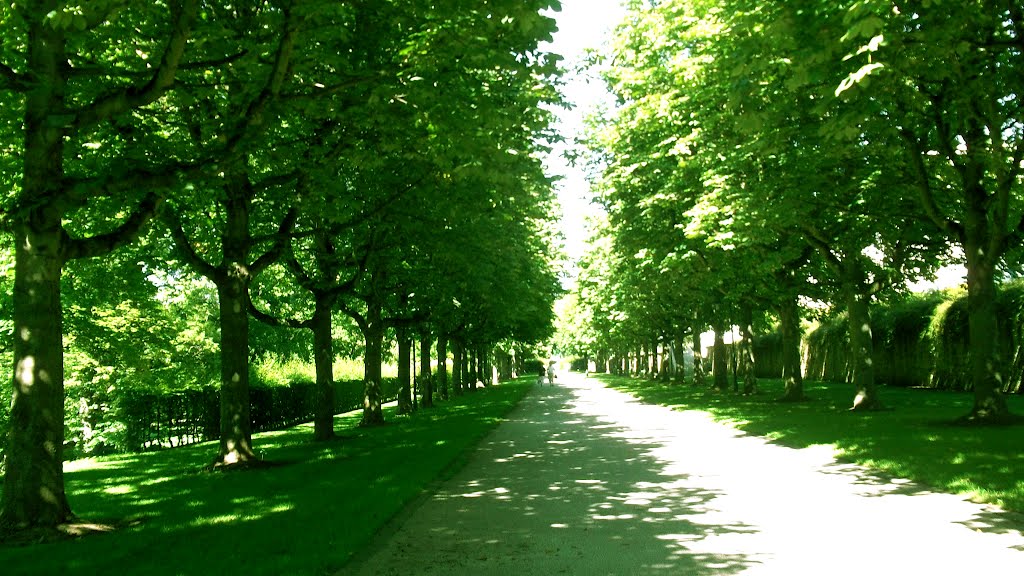 folow the green....