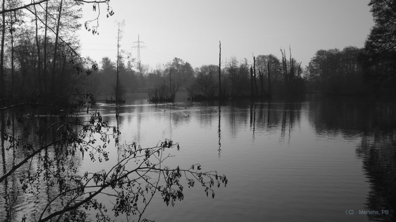 Weiher sw