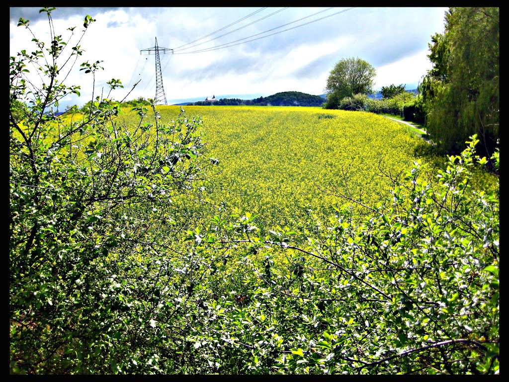 Greenery