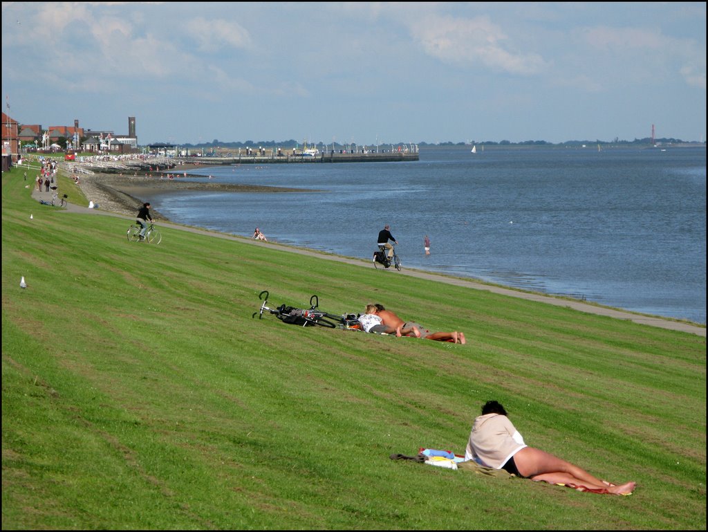 Wilhelmshaven: Kust