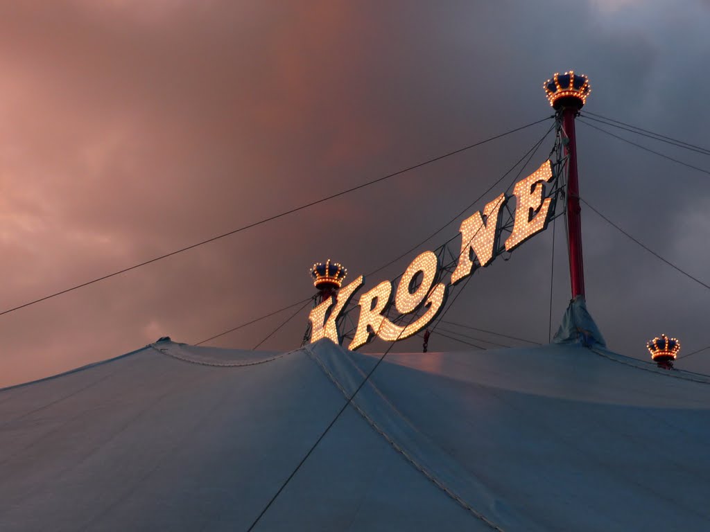 der Zirkus ist da **JULY CONTEST **