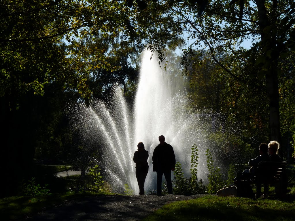 Herbst im Park - Ősz a parkban