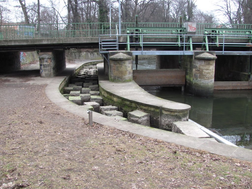 Fischtreppe an der Oker in Wolfenbüttel