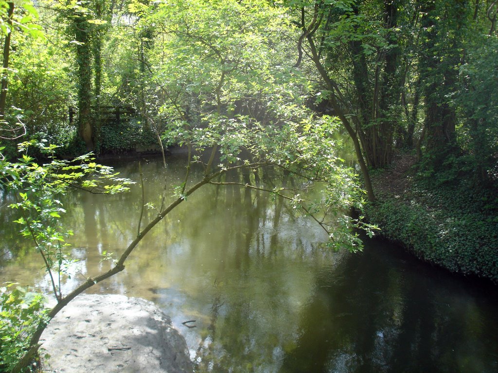 Wolfenbüttel, Die Oker im Seeligerpark 1