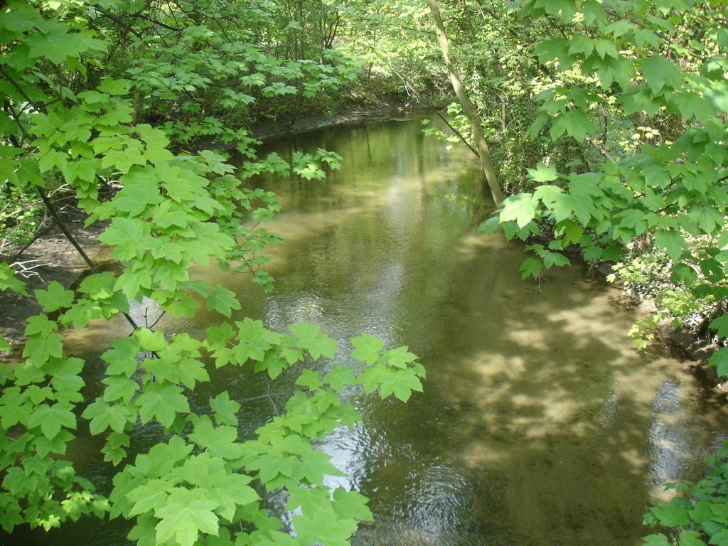 Wolfenbüttel, Die Oker im Seeligerpark 2