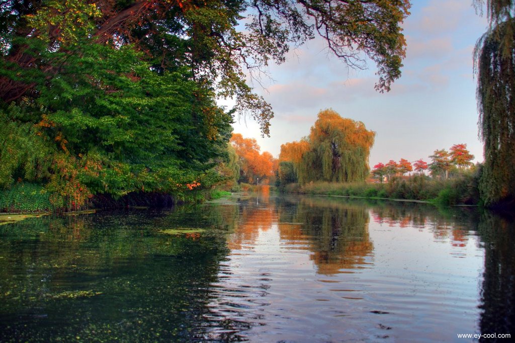 Flusswandern auf der Aller am Schloßgarten Wolfsburger Schloß