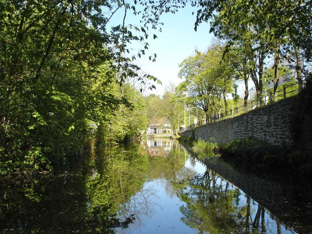 Teich