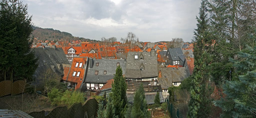 Roofs