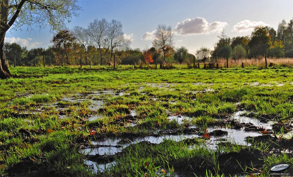 Feuchtes Land, Delmenhorst - (C) by Salinos_de NI
