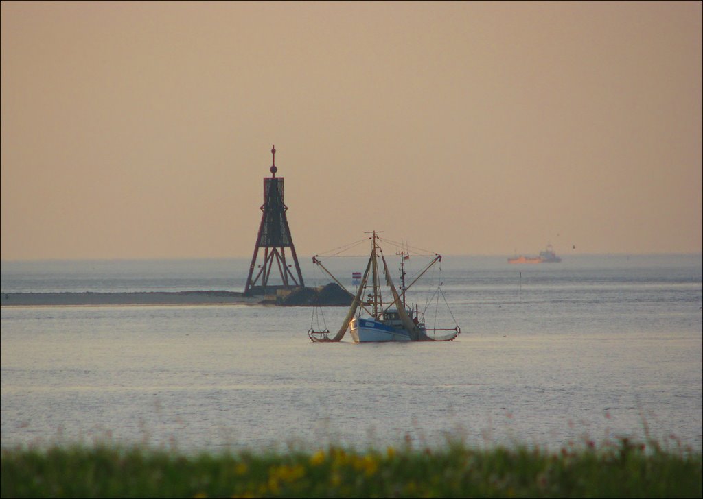Kleiner Krabbenfischer abends vor der Kugelbake in Cuxhaven