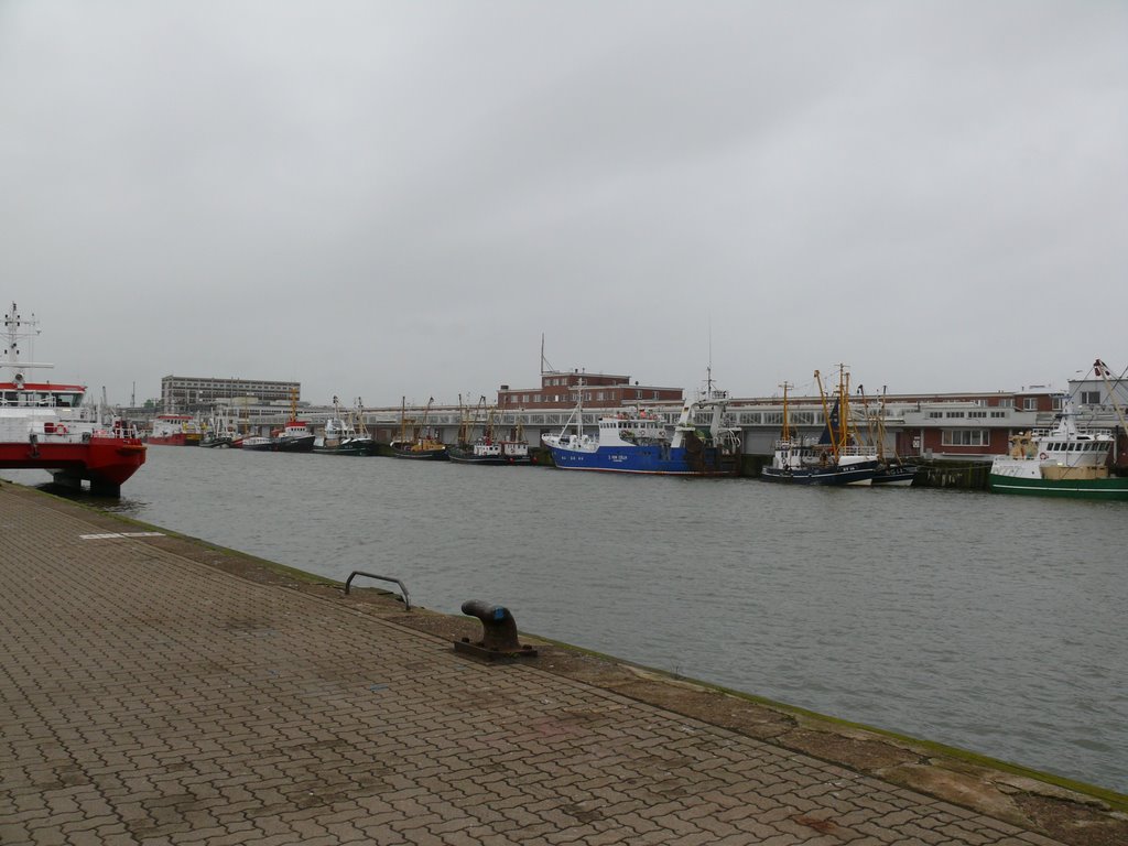 Neuer Fischereihafen