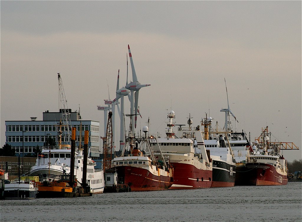DFFU Flotte im Hafen