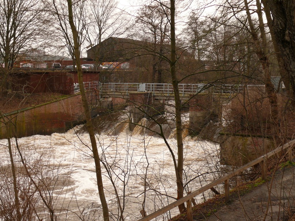 Ilmenauwehr - Hochwasser 23.1.2008 -