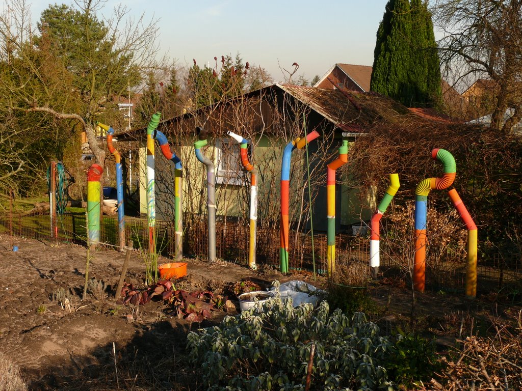 Lüneburg - Schrebergarten am Kreidebergsee - Bringt Farbe in den Garten -