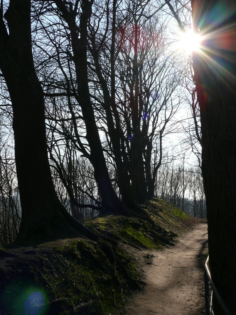 Lüneburg - Fußweg auf dem Kalkberg -