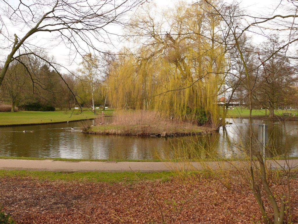Kurparksee im "erwachenden Frühling"
