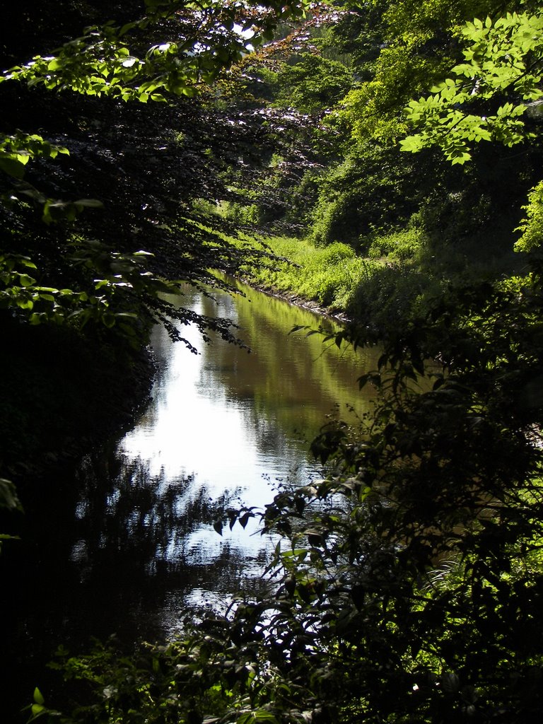 Vechtearm am Stadtpark