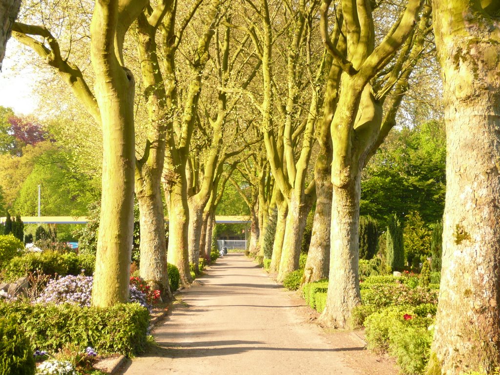 Nordhorn - Friedhof am Heseper Weg