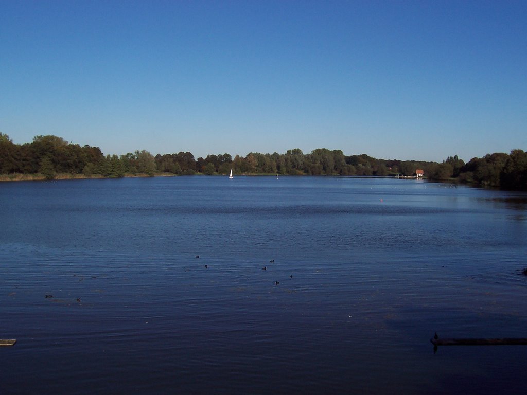 Vechtesee in nördl. Blickrichtung