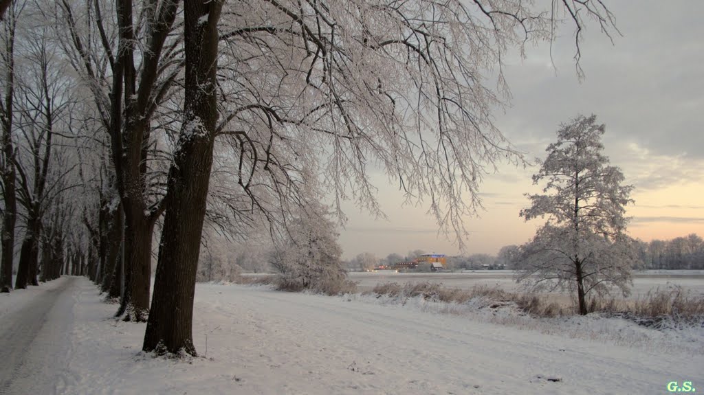 winter am vechtesee