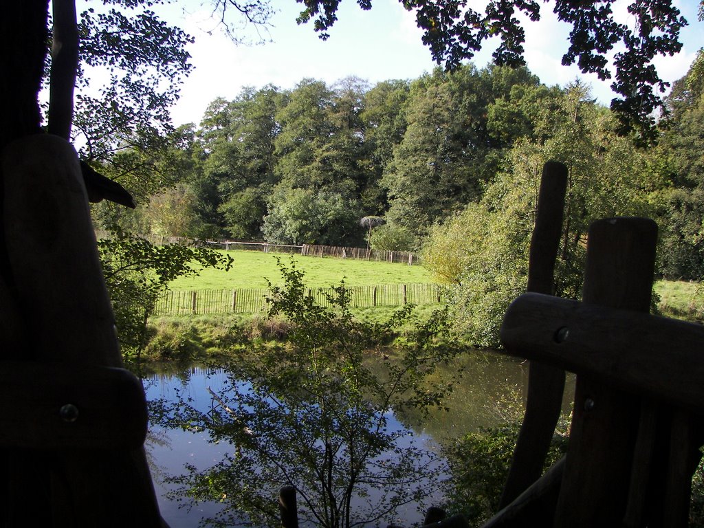 Vechte Altarm im Tierpark Nordhorn